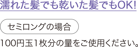 濡れた髪でも乾いた髪でもOK！[セミロングの場合]100円玉1枚分の量をご使用ください。