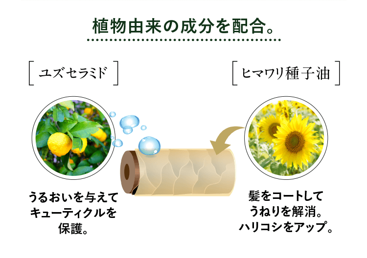 植物由来の成分を配合。 ユズセラミド うるおいを与えてキューティクルを保護。 ヒマワリ種子油 髪をコートしてうねりを解消。ハリコシをアップ