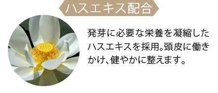 ハスエキス配合 発芽に必要な栄養を凝縮したハスエキスを採用。頭皮に働きかけ、健やかに整えます。