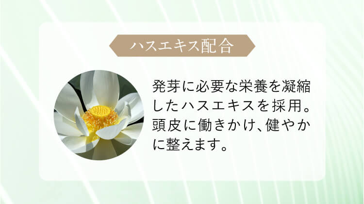 ハスエキス配合 発芽に必要な栄養を凝縮したハスエキスを採用。頭皮に働きかけ、健やかに整えます。