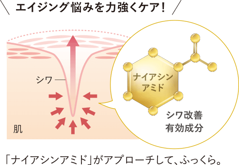 エイジング悩みを力強くケア！「ナイアシンアミド」がアプローチして、ふっくら。