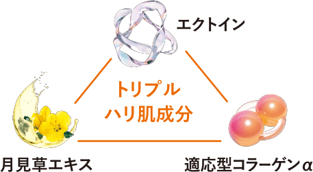 トリプル肌成分 エクトイン 月見草エキス 適応型コラーゲンα