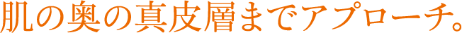 肌の奥の真皮層までアプローチ。