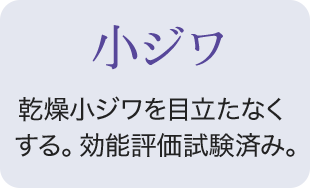 小ジワ 乾燥小ジワを目立たなくする。効能評価試験済み。