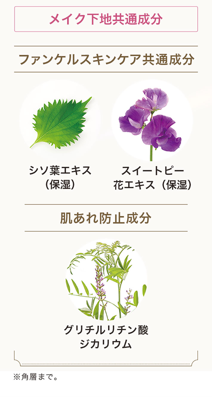 メイク下地共通成分ファンケルスキンケア共通成分