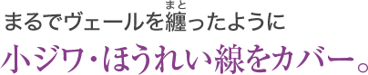 まるでヴェールを纏ったように 小ジワ・ほうれい線をカバー。