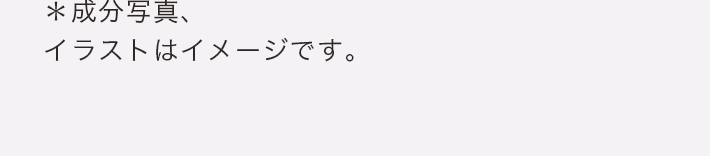 ※成分写真、イラストはイメージです