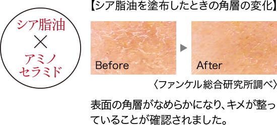 シア脂油×アミノセラミド 【シア脂油を塗布したときの角層の変化】＜ファンケル総合研究所調べ＞表面の角層がなめらかになり、キメが整っていることが確認されました。