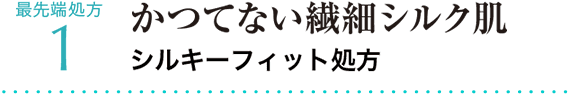 最先端処方1 かつてない繊細シルク肌 シルキーフィット処方