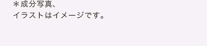 成分写真 、イラストはイメージです。