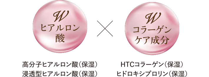 Wヒアルロン酸 × Wコラーゲンケア成分