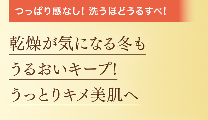 つっぱり感なし!洗うほどうるすべ!乾燥が気になる冬もうるおいキープ!うっとりキメ美肌へ