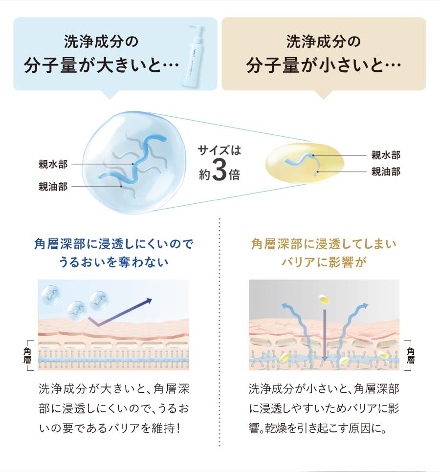 洗浄成分の分子量が大きいと、角層深部に浸透しにくいのでうるおいを奪わない・洗浄成分の分子量が小さいと、角層深部に浸透してしまいバリアに影響が