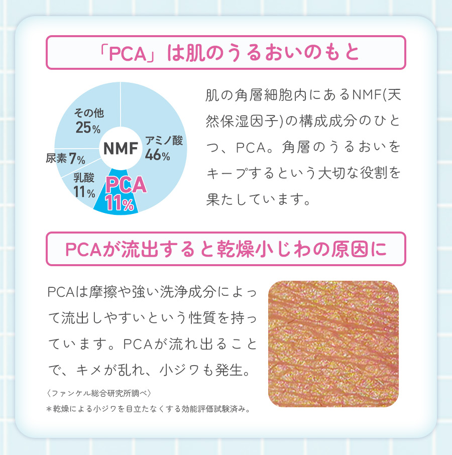 「PCA」は肌のうるおいのもと 肌の角層細胞内にあるNMF(天然保湿因子)の構成成分のひとつ、PCA。角層のうるおいをキープするという大切な役割を果たしています。PCAが流出すると乾燥小じわの原因に PCAは摩擦や強い洗浄成分によって流出しやすいという性質を持っています。PCAが流れ出ることで、キメが乱れ、小ジワも発生。