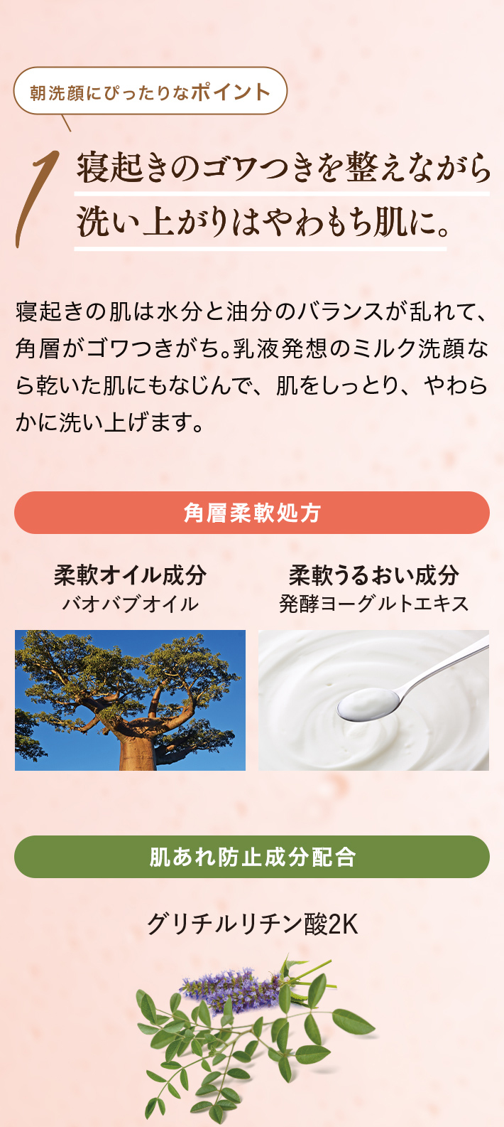 朝洗顔にぴったりなポイント1 寝起きのゴワつきを整えながら洗い上がりはやわもち肌に。寝起きの肌は水分と油分のバランスが乱れて、角層がゴワつきがち。乳液発想のミルク洗顔なら乾いた肌にもなじんで、肌をしっとり、やわらかに洗い上げます。