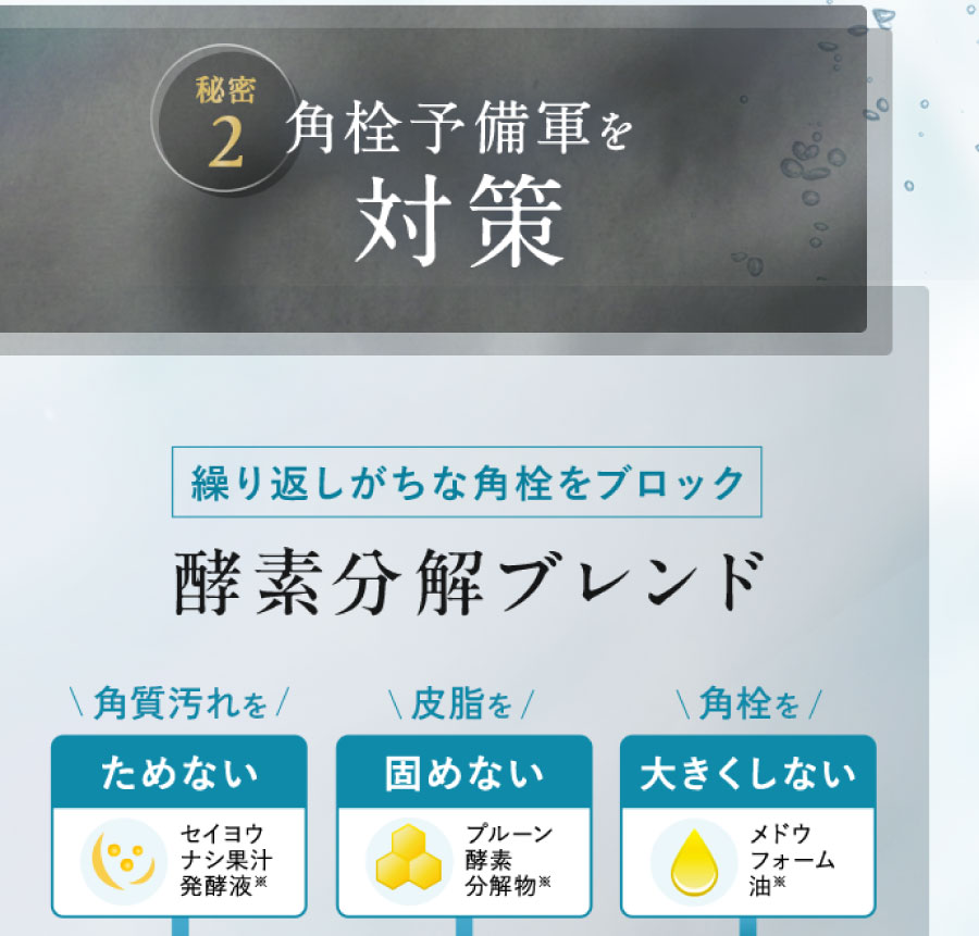 秘密2 角栓予備軍を対策