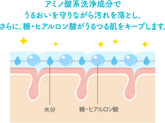 アミノ酸系洗浄成分で うるおいを守りながら汚れを落とし、さらに、糖・ヒアルロン酸がうるつる肌をキープします。