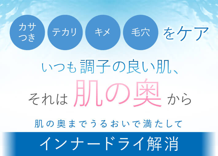 カサつき、テカリ、キメ、毛穴をケア　いつも調子の良い肌、それは肌の奥から 肌の奥までうるおいで満たしてインナードライ解消