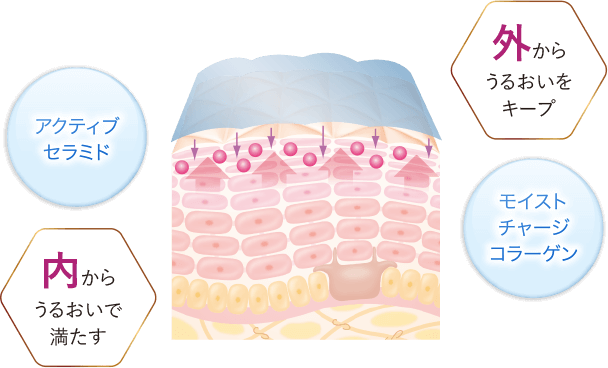 アクティブセラミド 内からうるおいで満たす、モイストチャージコラーゲン 外からうるおいをキープ