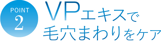 POINT2　VPエキスで毛穴まわりをケア