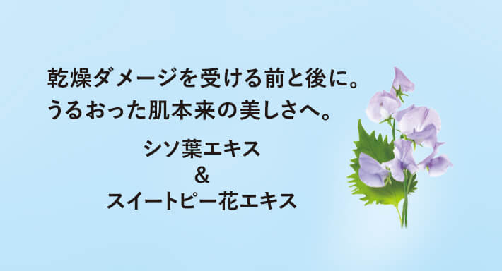 乾燥ダメージを受ける前と後に。うるおった肌本来の美しさへ。シソ葉エキス&スイートピー花エキス