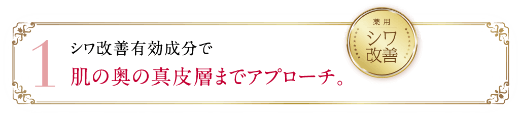 1 シワ改善有効成分で肌の奥の真皮層までアプローチ。