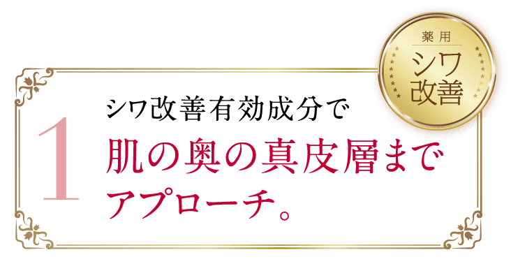 1 シワ改善有効成分で肌の奥の真皮層までアプローチ。