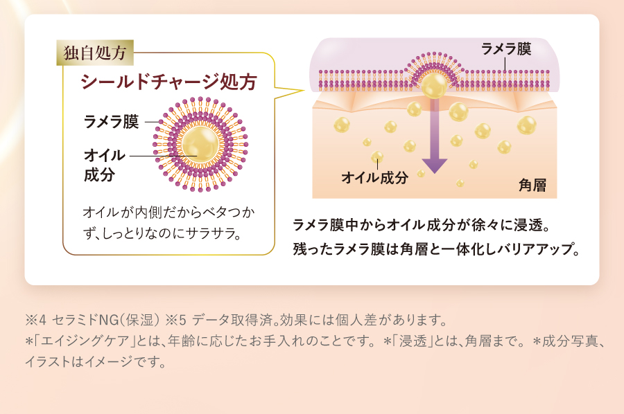 ※4 セラミドNG（保湿）※5 データ取得済。効果には個人差があります。＊「エイジングケア」とは、年齢に応じたお手入れのことです。＊「浸透」とは、角層まで。＊成分写真、イラストはイメージです。