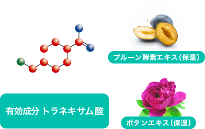 美白美容液にも配合！トラネキサム酸／プルーン酵素エキス／ボタンエキス