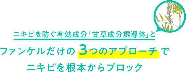 ニキビを防ぐ有効成分「天草成分誘導体」とファンケルだけの３つのアプローチでニキビを根本からブロック