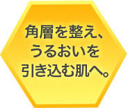 角層を整え、うるおいを引き込む肌へ。