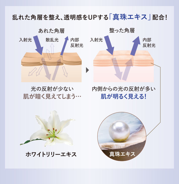 乱れた角層を整え、透明感をUPする「真珠エキス」新配合！