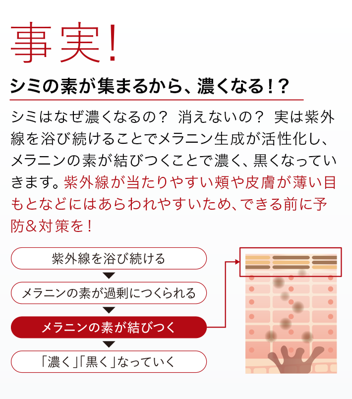 事実!シミの素が集まるから、濃くなる !?シミはなぜ濃くなるの?消えないの?実は紫外線を浴び続けることでメラニン生成が活性化し、メラニンの素が結びつくことで濃く、黒くなってい0ます。紫外線が当たりやすい頬や皮膚が薄い目もとなどにはあらわれやすいためできる前に予防&対策を!