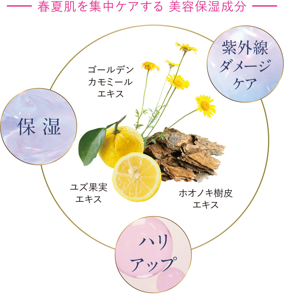 春夏肌を集中ケアする 美容保湿成分