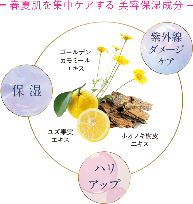 春夏肌を集中ケアする 美容保湿成分