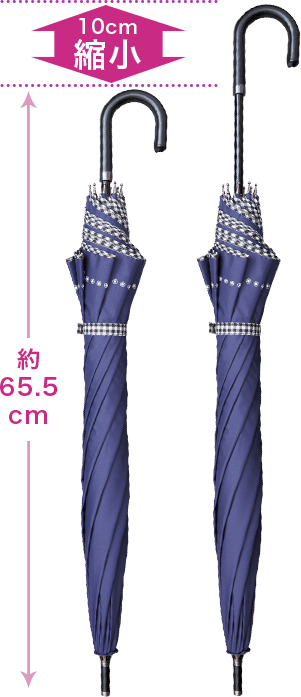 10cm縮小 約65.5cm