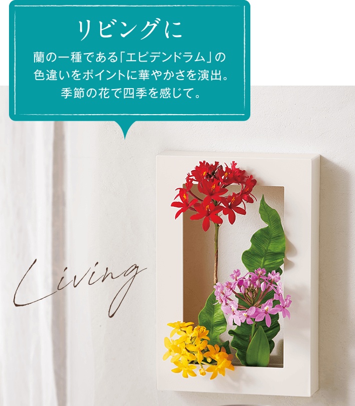 リビングに 蘭の一種である「エピデンドラム」の色違いをポイントに華やかさを演出。季節の花で四季を感じて。