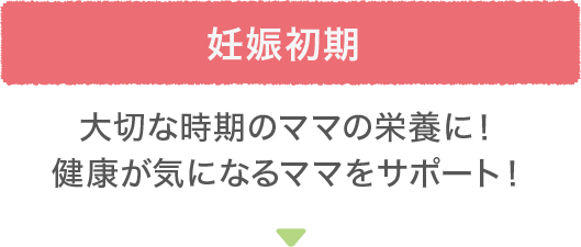 妊娠初期 大切な時期のママの栄養に！健康が気になるママをサポート！