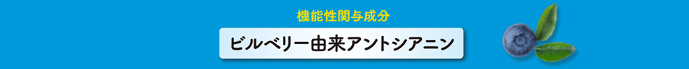 機能性関与成分 ビルベリー由来アントシアニン