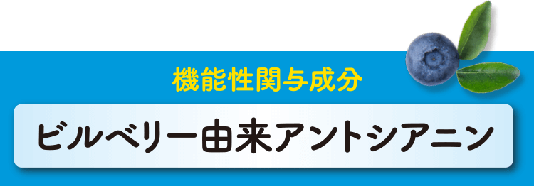 機能性関与成分 ビルベリー由来アントシアニン