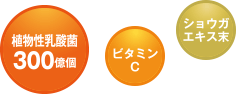 植物性乳酸菌300億個 ビタミンC ショウガエキス末