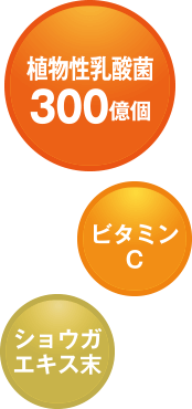 植物性乳酸菌300億個 ビタミンC ショウガエキス末