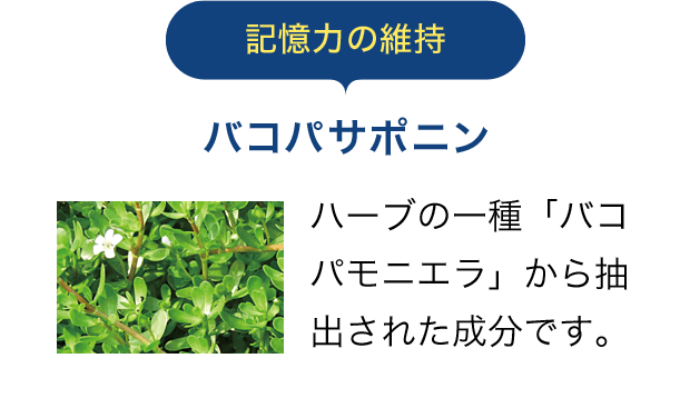 記憶力の維持 バコパサポニン。ハーブの一種「バコパモニエラ」から抽出された成分です。