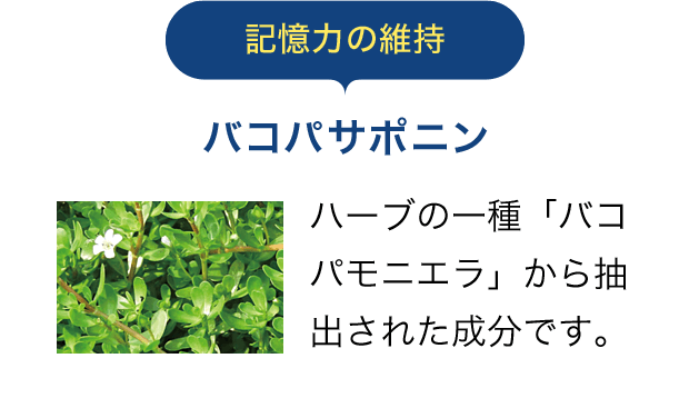 記憶力の維持　バコパサポニン。ハーブの一種「バコパモニエラ」から抽出された成分です。