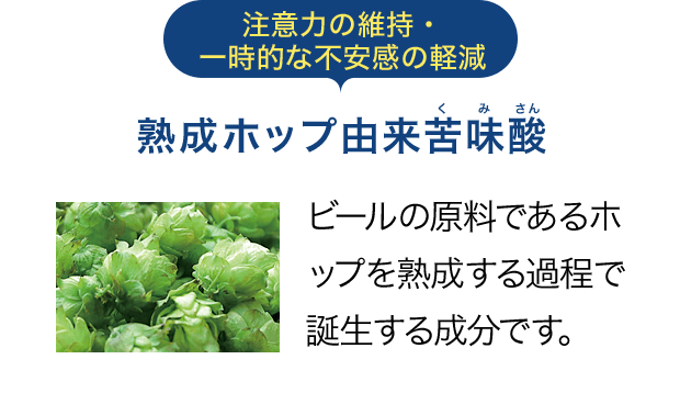 注意力の維持・一時的な不安感の軽減 熟成ホップ由来苦味酸。ビールの原料であるホップを熟成する過程で誕生する成分です。