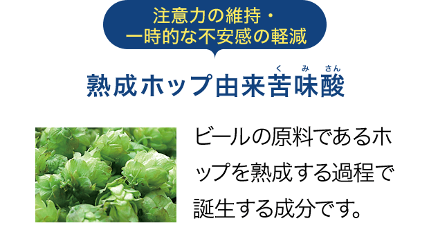 注意力の維持・一時的な不安感の軽減　熟成ホップ由来苦味酸。ビールの原料であるホップを熟成する過程で誕生する成分です。