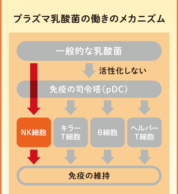 プラズマ乳酸菌の働きのメカニズム