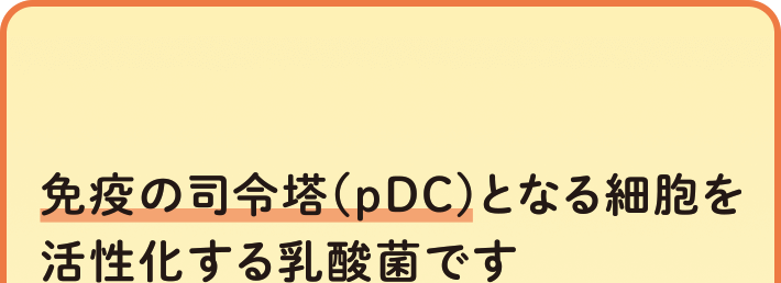 免疫の司令塔(pDC)となる細胞を活性化する乳酸菌です