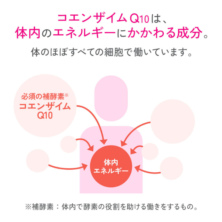 コエンザイムQ10は、体内のエネルギーにかかわる成分。体のほぼすべての細胞で働いています。