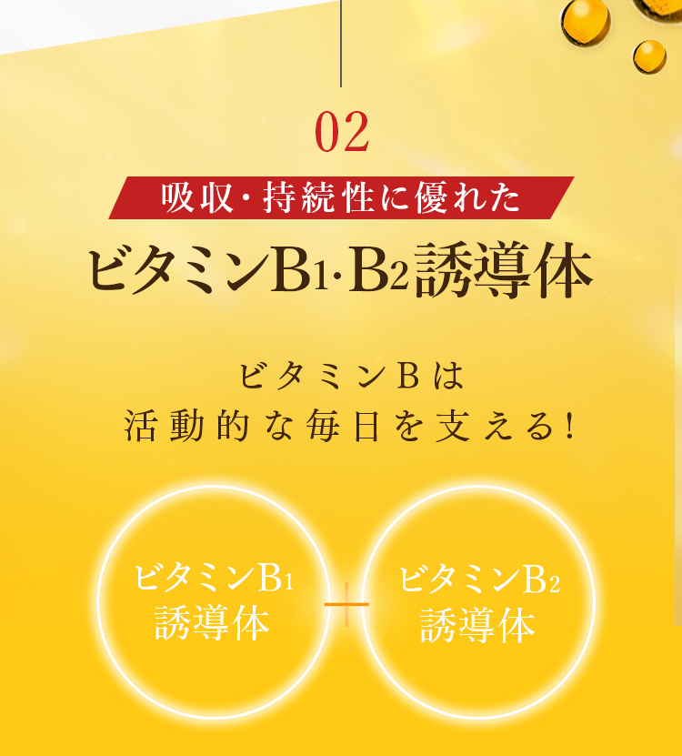 02 吸収・持続性に優れたビタミンB1・B2誘導体 ビタミンBは活動的な毎日を支える!